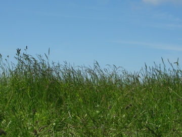 CIMG2955