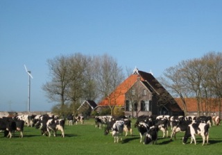 boerderij+koeien 01 05 2013